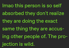 lmao this person is so self absorbed they don't realize they are doing the exact same thing they are accusing other people of. the projection is wild.